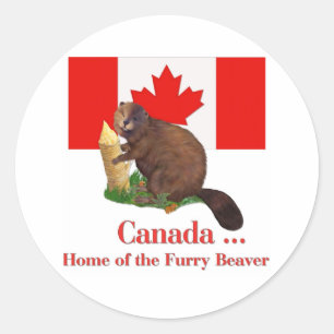 Sticker Rond Beaver Furry