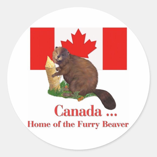 Sticker Rond Beaver Furry (Devant)