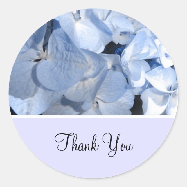 Sticker Rond Bébé bleu Hydrangea Merci (Devant)