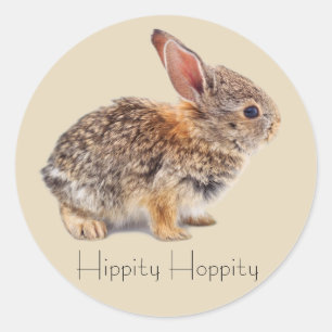 Sticker Rond Bébé de Cottontail