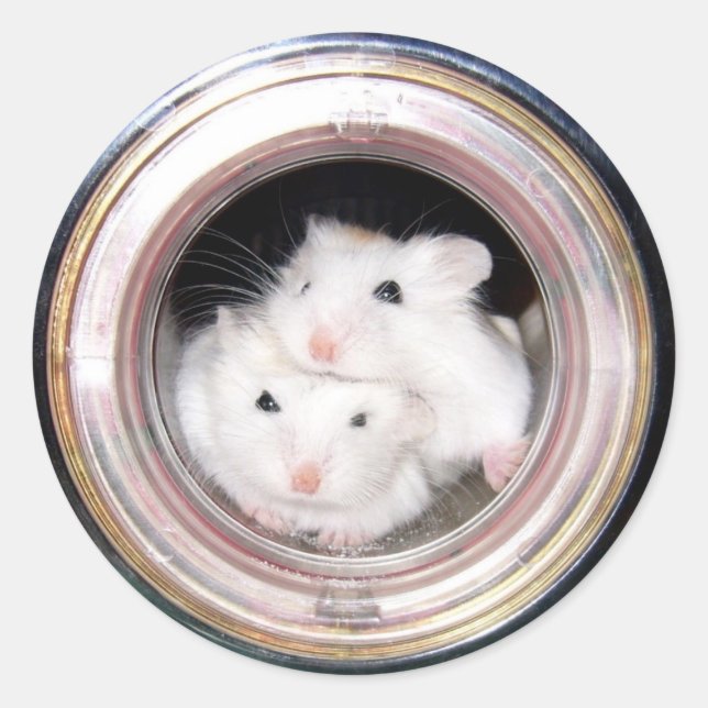 Sticker Rond Bébé hamster : Piloté ! (Devant)