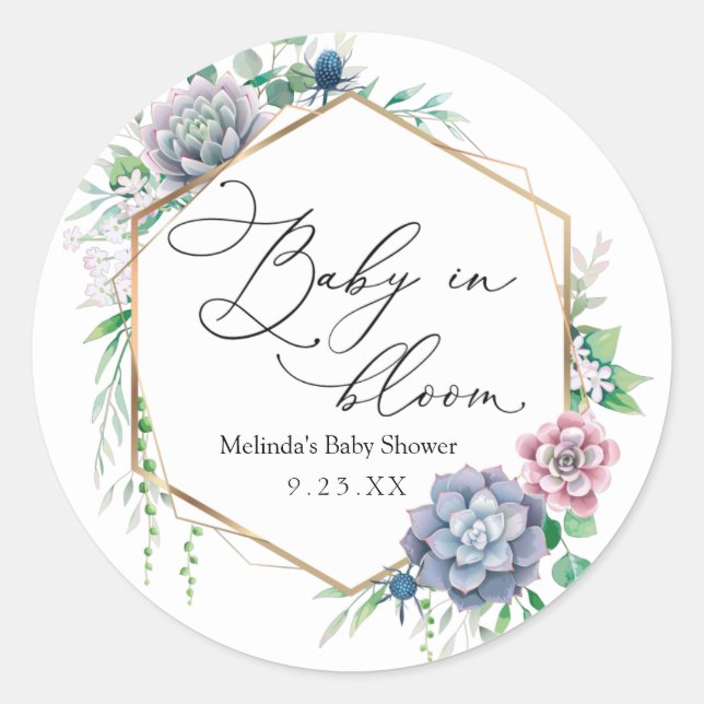 Sticker Rond Bébé succulent dans les Plantes en fleurs Favorise (Devant)