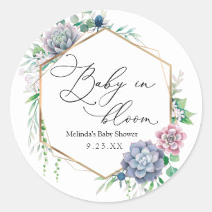 Sticker Rond Bébé succulent dans les Plantes en fleurs Favorise