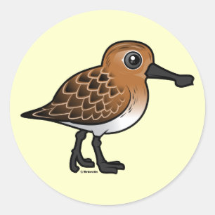 Sticker Rond Bécasseau à bec reproducteur