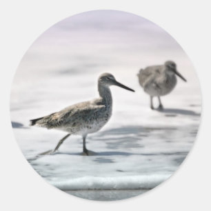 Sticker Rond Bécasseaux