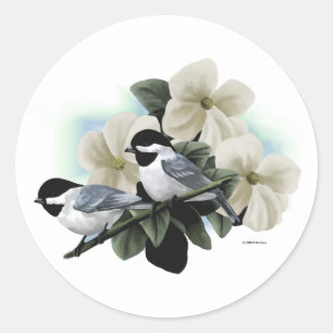 Sticker Rond Bécasseaux noirs