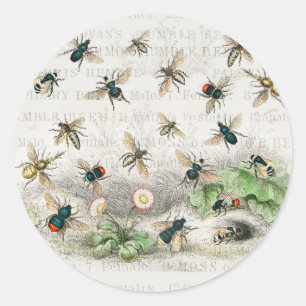 Sticker Rond Bee Honey Travailleur Queen Bees Antique