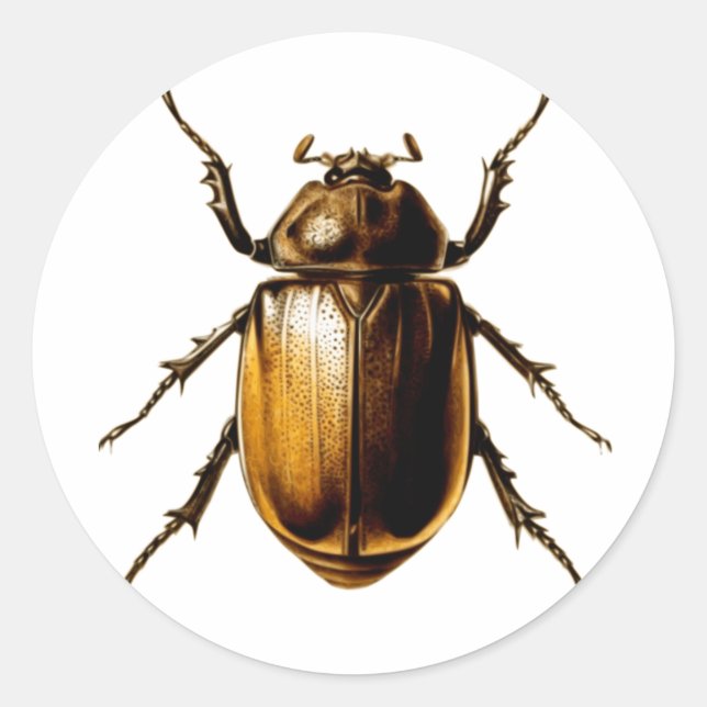 Sticker Rond Beetle (Devant)