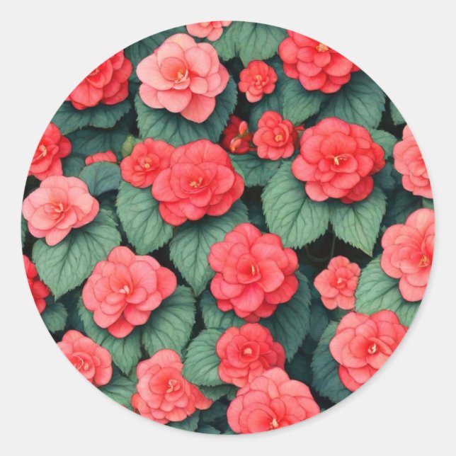 Sticker Rond Bégonia fleurs roses (Devant)