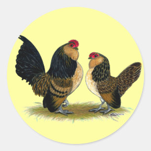 Sticker Rond Belge d'Anvers Bantams : Quail