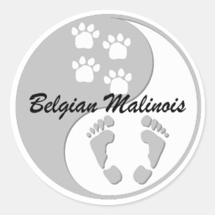 Sticker Rond Belge Malinois de yang de yin