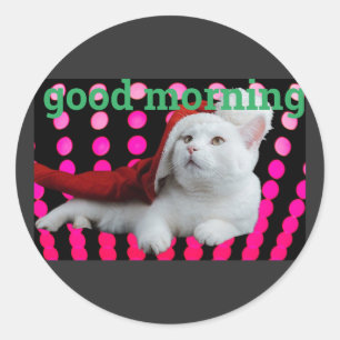 Sticker Rond Belle affiche design Good Morning Cat
