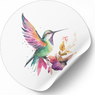 Sticker Rond Belle aquarelle colibri illustration