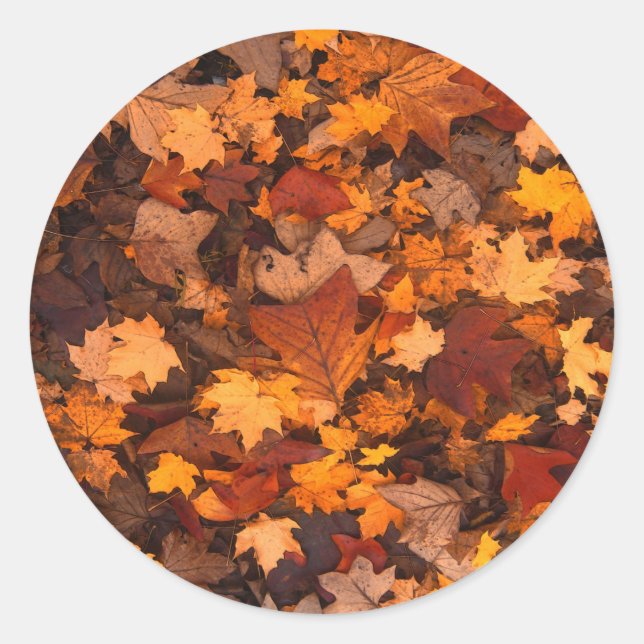 Sticker Rond Belle Conception Autum Foliage. (Devant)
