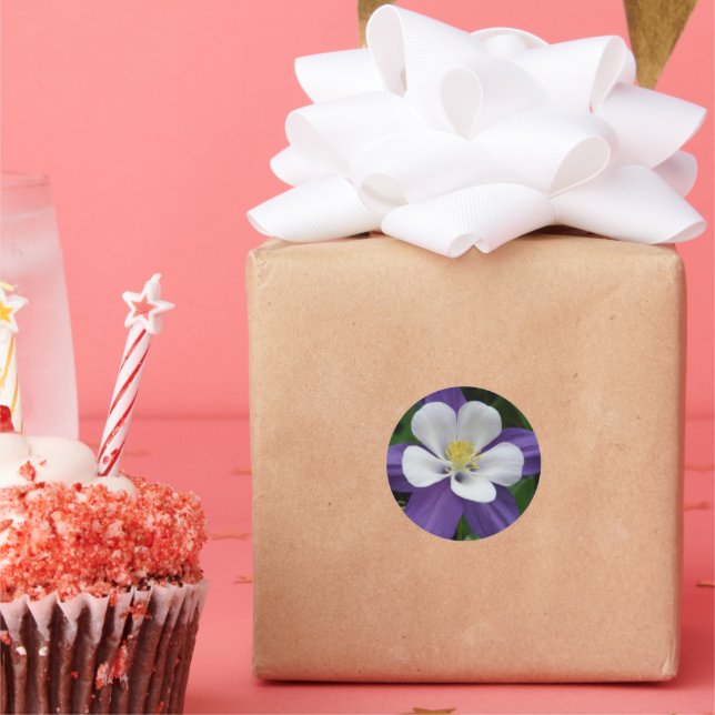 Sticker Rond Belle Fleur d'Aquilegia Violette Blanche (Fête)