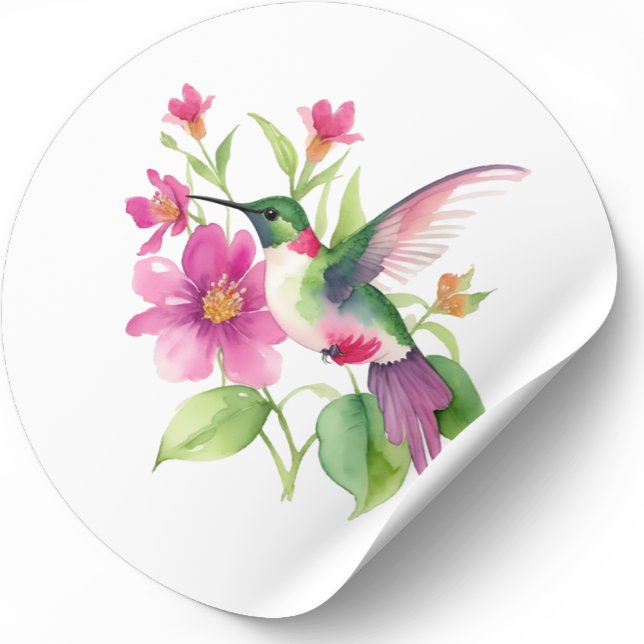 Sticker Rond Belle illustration de colibri (Créateur téléchargé)