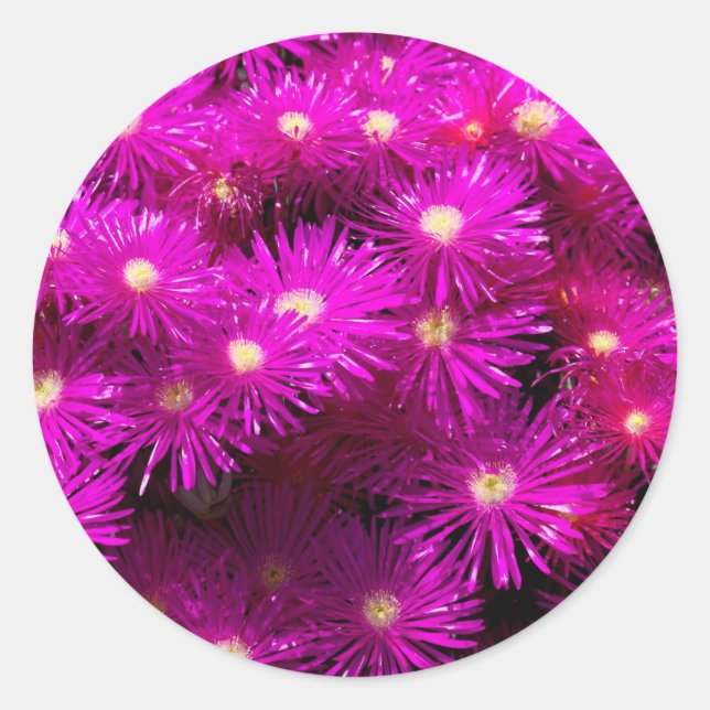 Sticker Rond Belle Jolie Fleurs Violettes Cadeaux Personnalisés (Devant)
