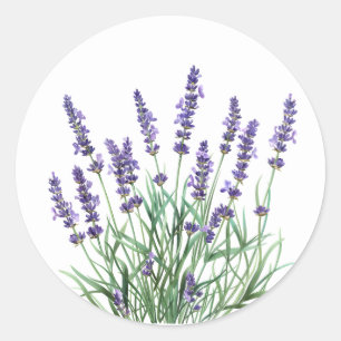 Sticker Rond Belle Lavande Jardin Fleur Floral