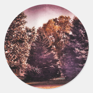 Sticker Rond Belle nuit
