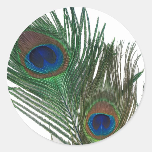 Sticker Rond Belle plume de paon blanc (Devant)