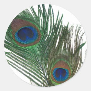 Sticker Rond Belle plume de paon blanc