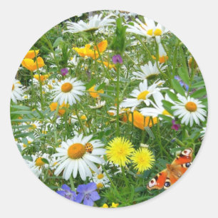 Sticker Rond Belle prairie Fleur sauvage et papillon