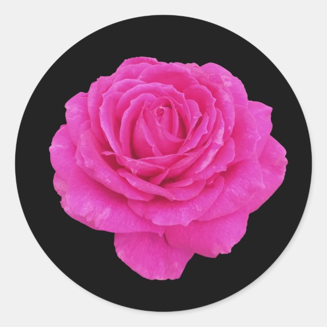 Sticker Rond Belle rose rose (Devant)