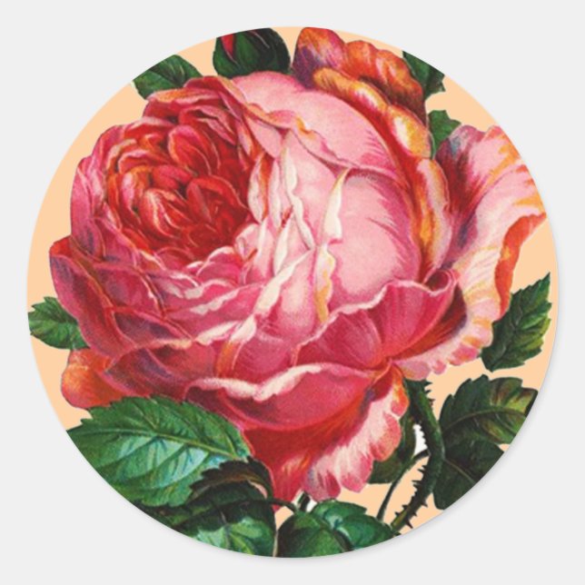 STICKER ROND BELLE ROSE ROSE ROSE (Devant)