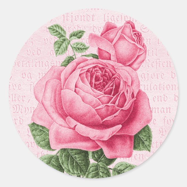 Sticker Rond Belle rose rose vintage (Devant)