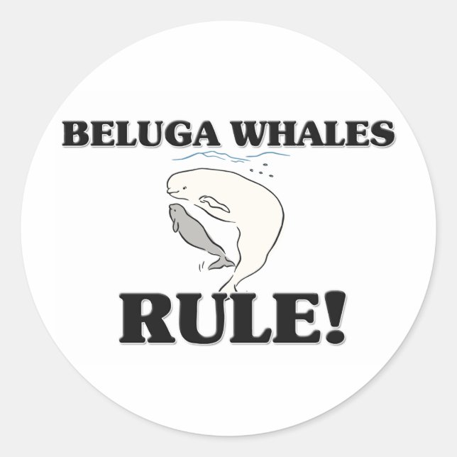 Sticker Rond BELUGA WHALES Règle ! (Devant)