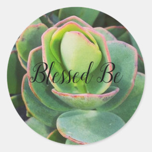 Sticker Rond Béni Soit Succulent