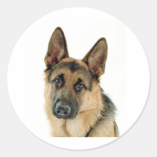 Sticker Rond Berger allemand