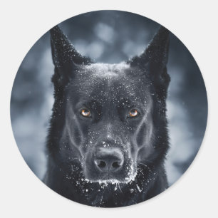 Sticker Rond Berger Allemand Noir