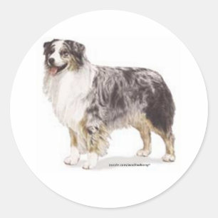 Sticker Rond Berger australien