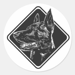 Sticker Rond Berger néerlandais - Hollandse Herdershond