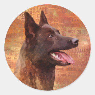 Sticker Rond Berger néerlandais - Hollandse Herdershond