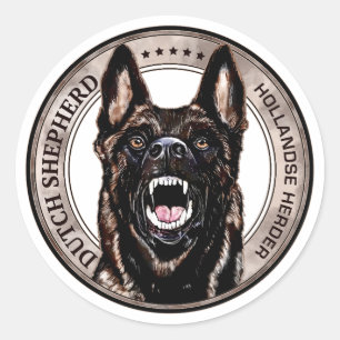 Sticker Rond Berger néerlandais - Hollandse Herdershond