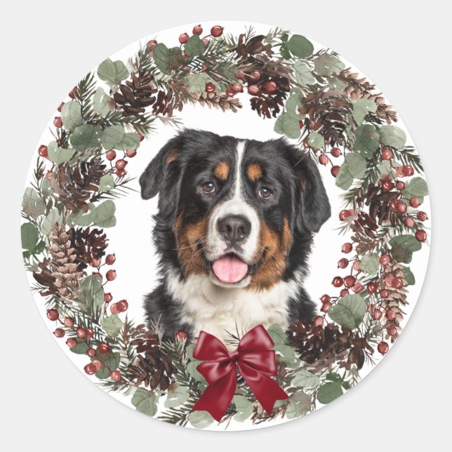 Sticker Rond Bernese Mountain Dog Pinecone Wreath Noël (Devant)