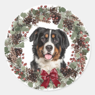 Sticker Rond Bernese Mountain Dog Pinecone Wreath Noël