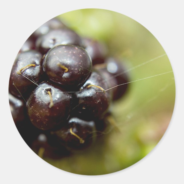 Sticker Rond Berry Nice (Devant)