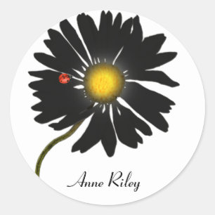 Sticker Rond bestiole sur marguerite noire