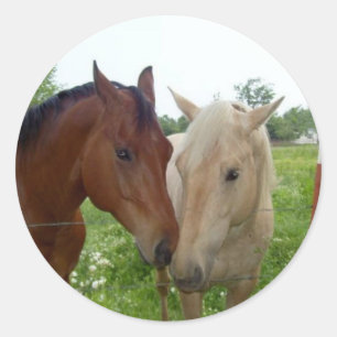 Sticker Rond BFF Best Friends Forever - Chevaux