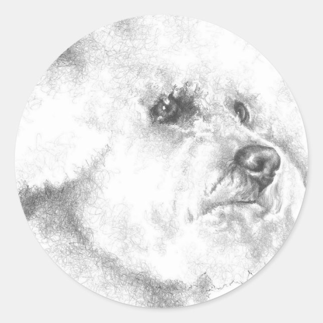 Sticker Rond Bichon Frise (Devant)