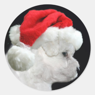 Sticker Rond Bichon Frise Christmas