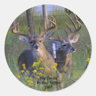 Sticker Rond Big BucksPar Kay Miller2007