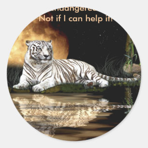 Sticker Rond BIG CAT Espèces en péril série