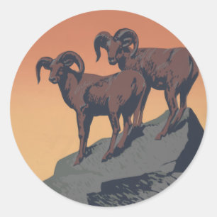 Sticker Rond Bighorn Sheep American West Wildlife