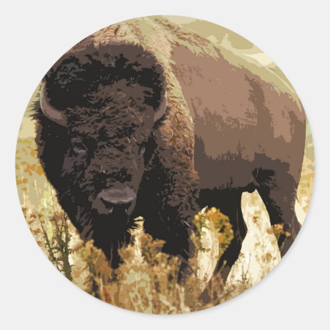 Sticker Rond Bison / Buffle (Devant)