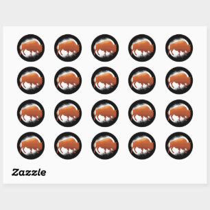 Sticker Rond Bison Buffle National Mammifère Américain