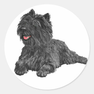 Sticker Rond Black Cairn Terrier